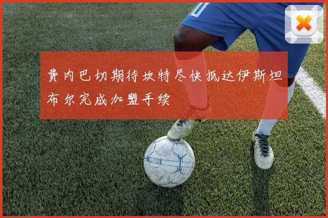 费内巴切期待坎特尽快抵达伊斯坦布尔完成加盟手续